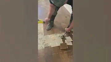 How to remove glued down engineered hardwood wood floors