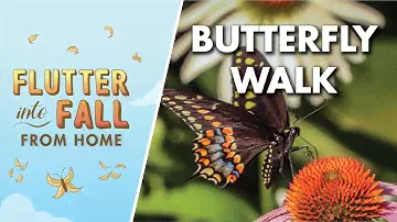 Virtual Butterfly Walk | Flutter into Fall from Home