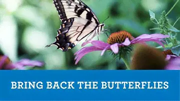 Bring Back the Butterflies - West Vancouver Memorial Library